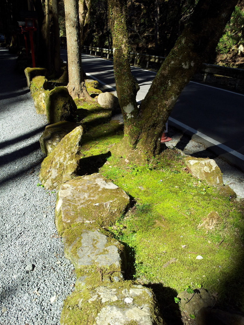 2019/04/13_貴船神社 奥宮参道の陰影