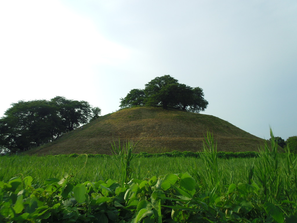 2017/07/09_さきたま古墳公園 丸墓山古墳
