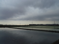 2017/05/27_水田の曇天