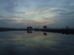 2016/11/20_溜め池の夕暮れ