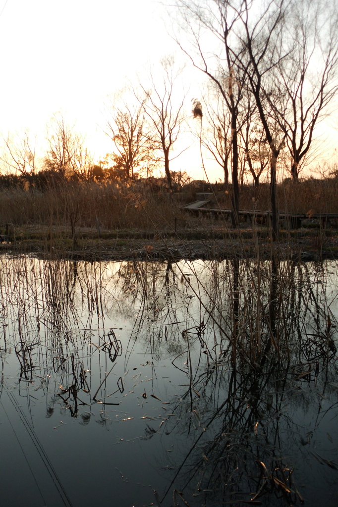 2015/02/11_ホタルの里