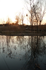 2015/02/11_ホタルの里