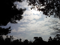 2016/10/18_奈良の空