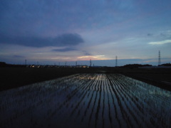 2017/06/25_水田の夕暮れ