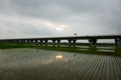 2015/07/05_水田に曇天