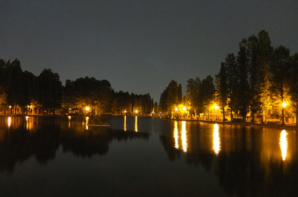 2014/05/24_夜の別所沼公園