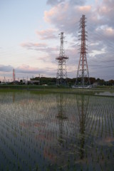 2015/06/06_水田の夕暮れ