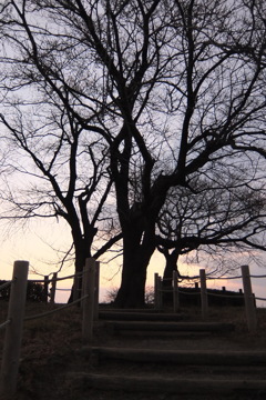 2014/12/31_夕暮れの丸墓山古墳