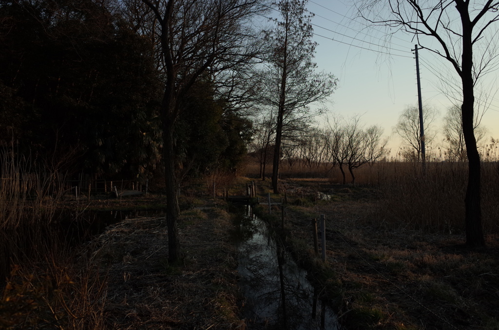 2015/02/11_ホタルの里