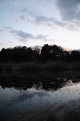 2015/12/31_赤坂沼の夕暮れ