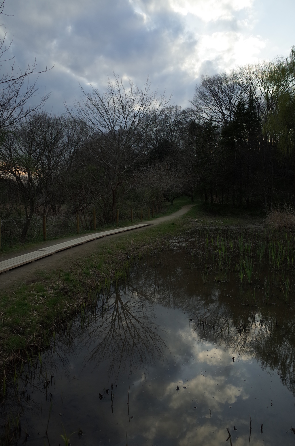 2016/03/26_北本自然観察公園