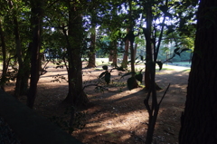 2015/05/24_夕暮れのゴルフ場