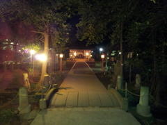 2015/01/01_夜の伊奈氷川神社