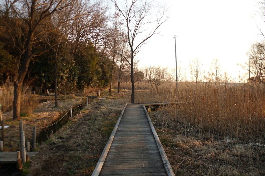 2015/02/11_ホタルの里