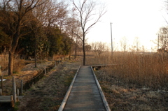 2015/02/11_ホタルの里