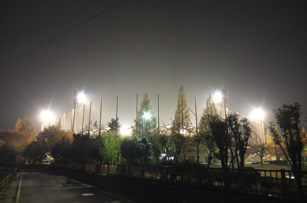 2014/11/24_夜の上平公園