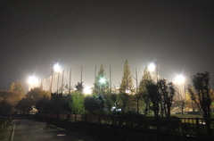 2014/11/24_夜の上平公園