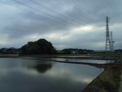 2017/05/27_水田の曇天