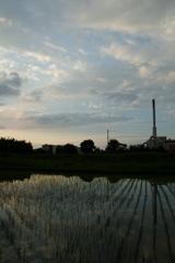 2016/06/26_水田の夕暮れ