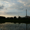 2016/06/26_水田の夕暮れ