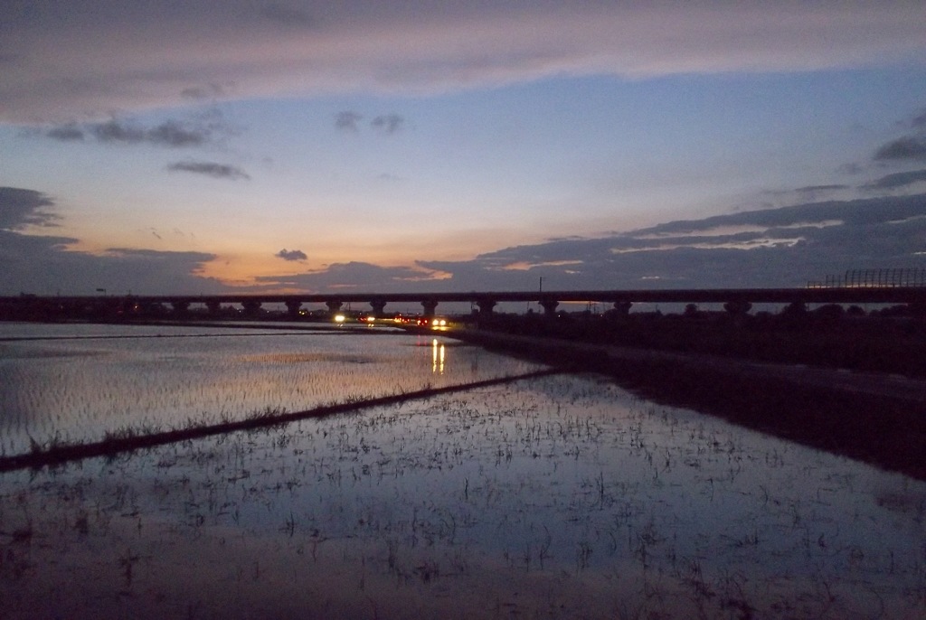 2015/06/28_水田の夕暮れ