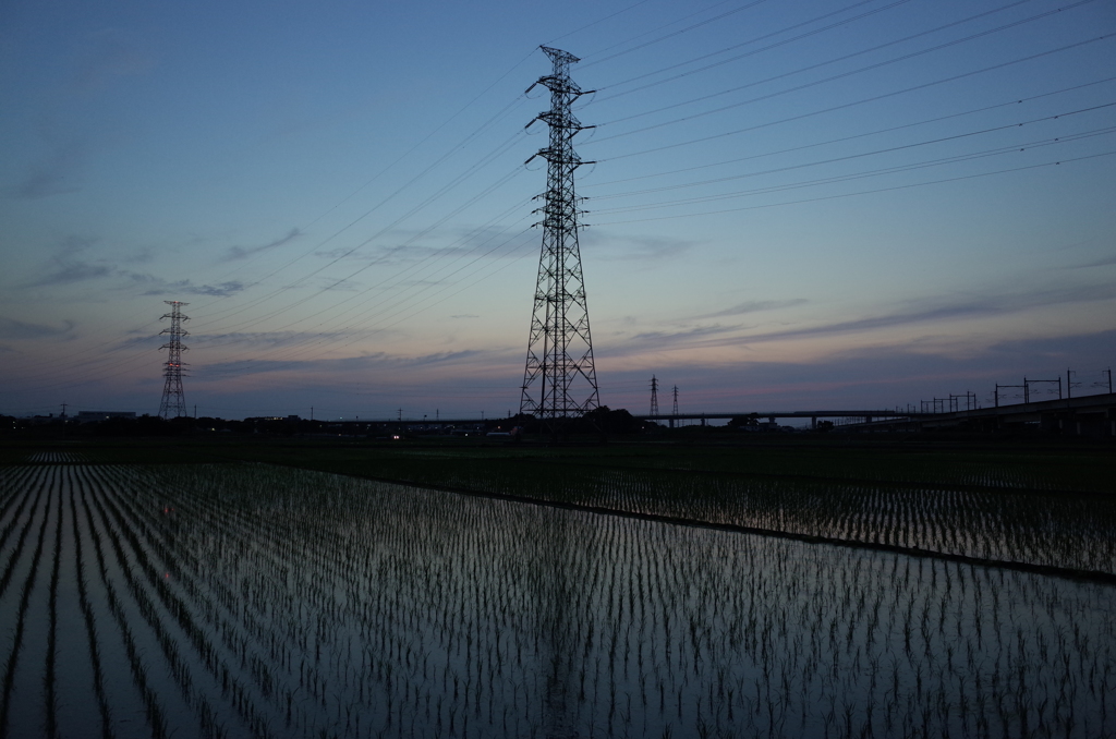 2016/06/18_水田の夕暮れ