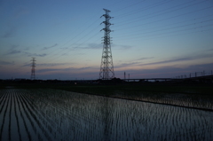 2016/06/18_水田の夕暮れ