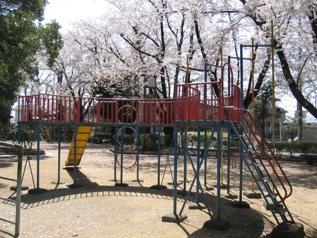2019/04/06_氷川児童公園の桜