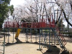 2019/04/06_氷川児童公園の桜