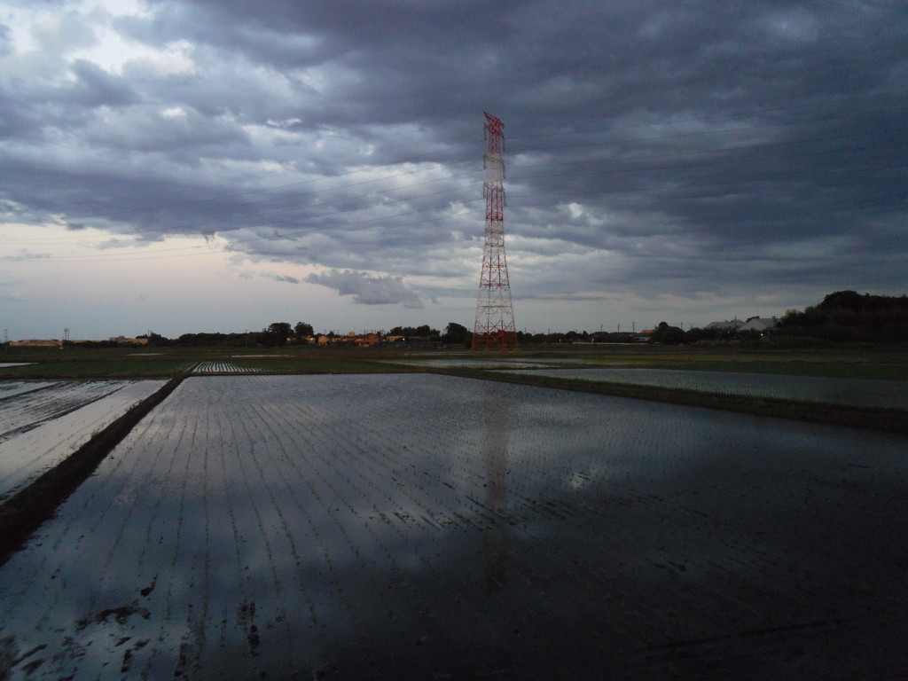 2017/06/04_水田に雲