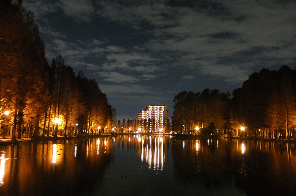 2014/12/07_夕暮れの別所沼公園