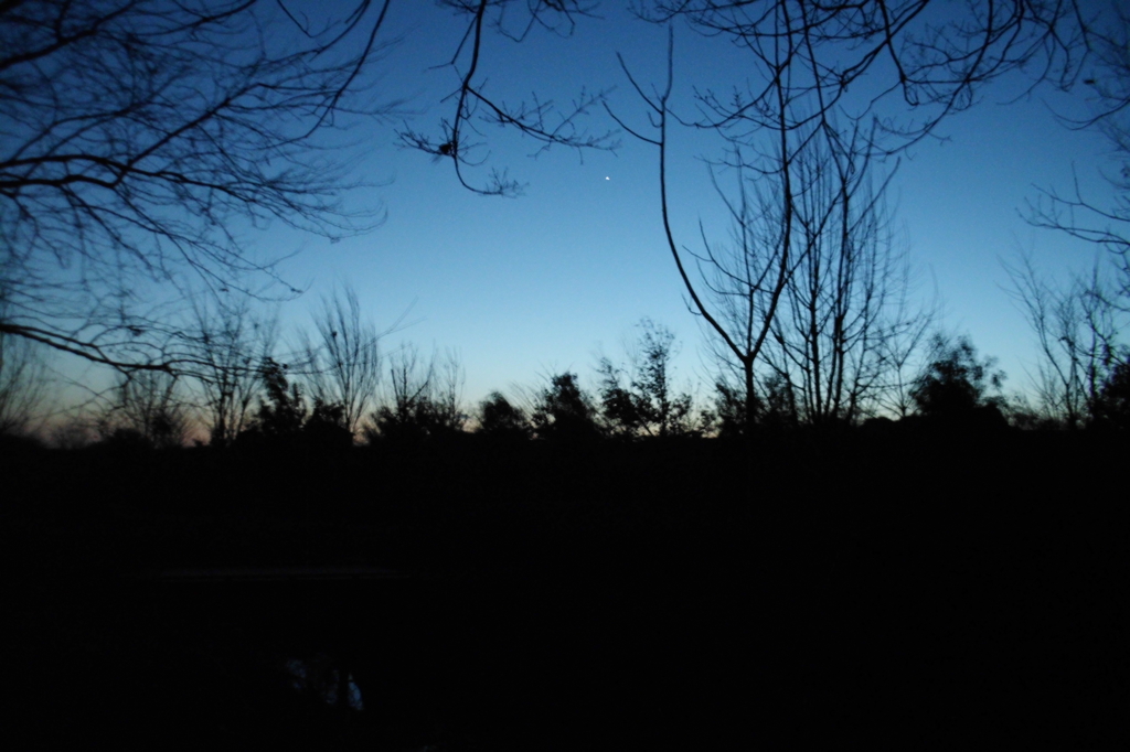 2015/02/15_夕暮れの秋葉の森総合公園