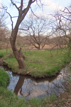 2016/03/26_北本自然観察公園
