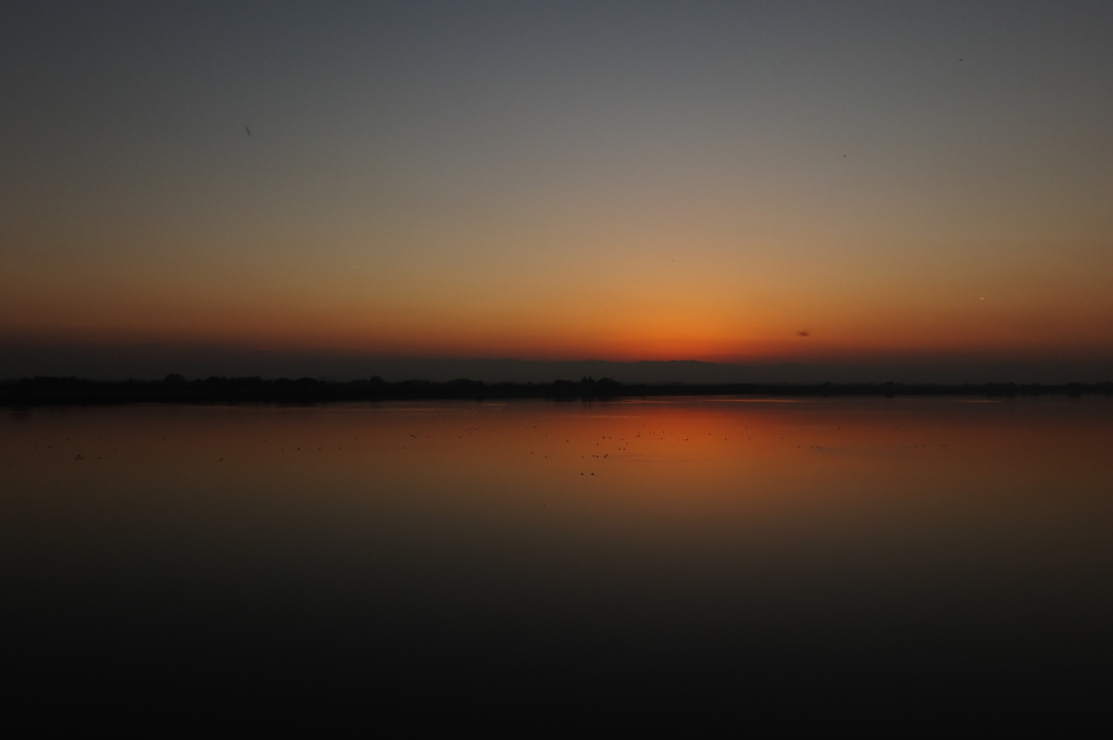 2014/11/22_利根川の夕暮れ