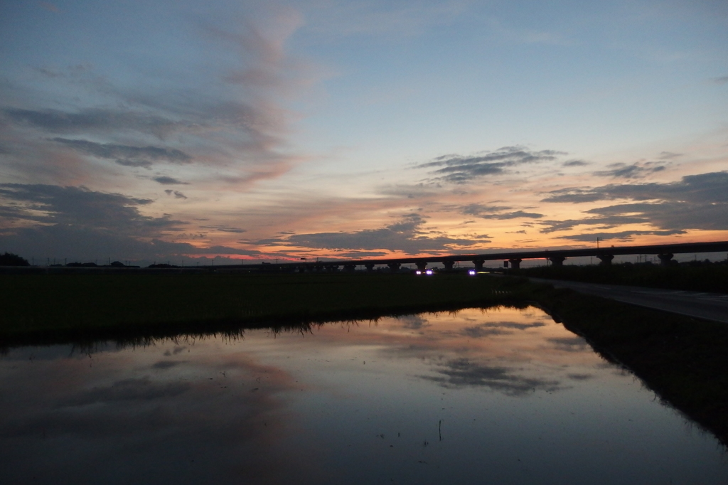 2015/07/19_水田の夕暮れ