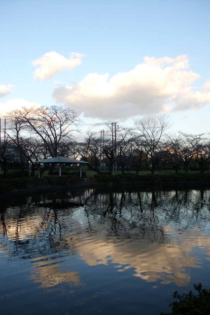 2015/11/03_岩槻城址公園