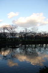 2015/11/03_岩槻城址公園