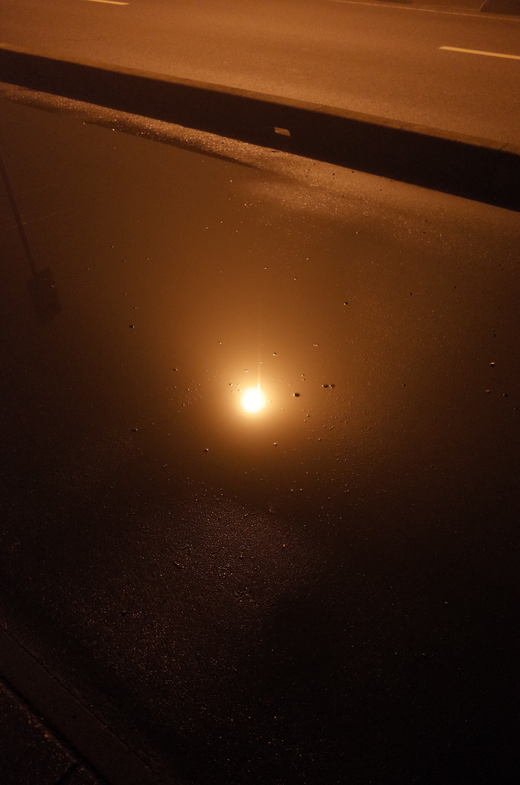 2015/02/08_霧の夜