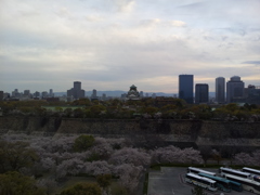 2019/04/12_宿から朝の大阪城公園を望む