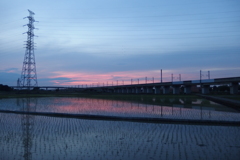 2016/06/11_水田の夕暮れ