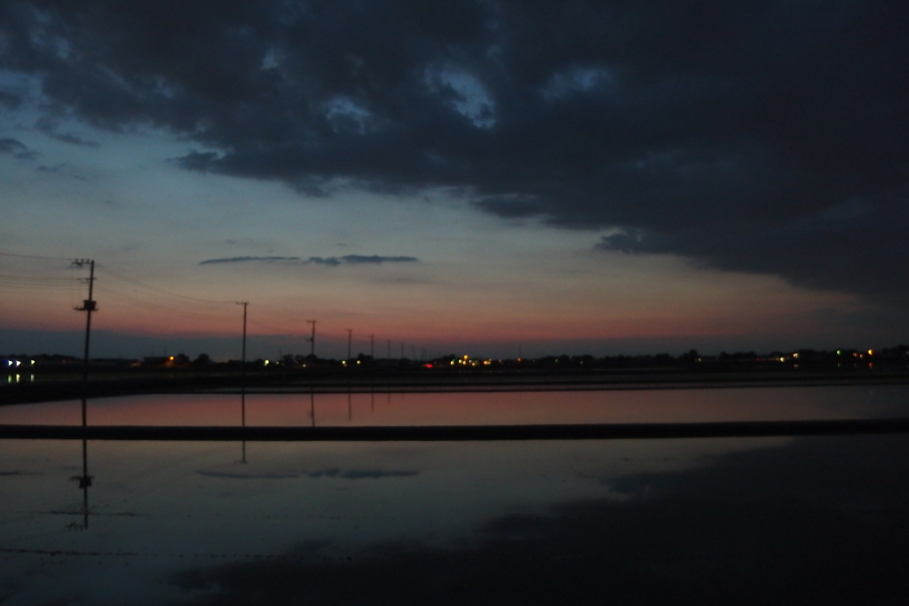 2016/06/05_水田の夕暮れ（没カット）