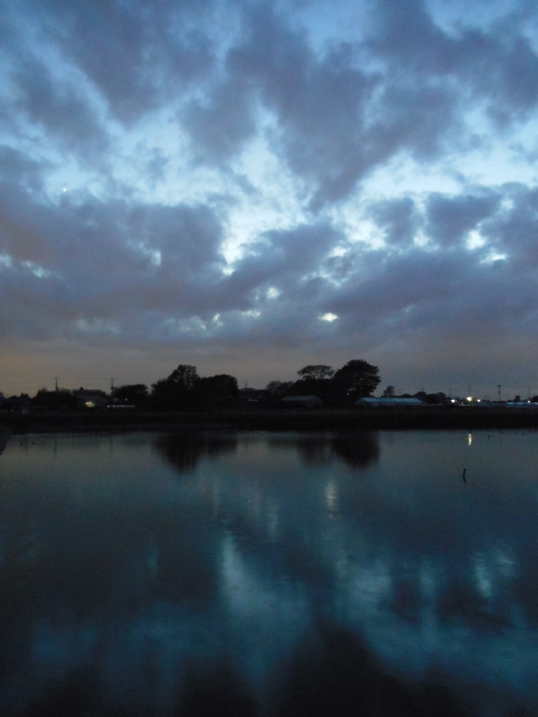 2016/11/26_溜め池の夕暮れ
