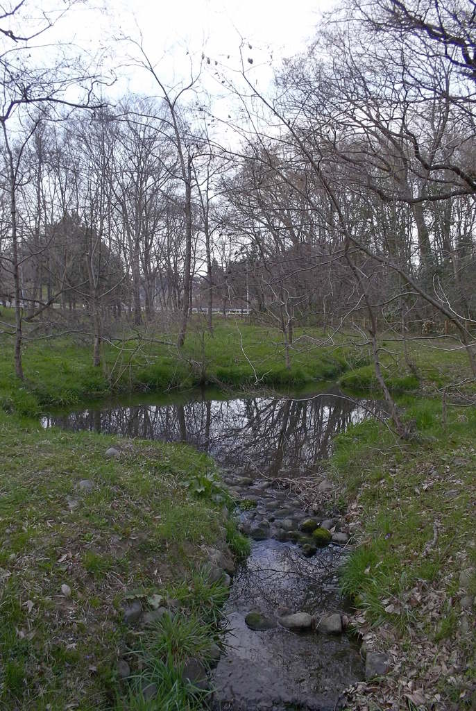 2016/03/26_北本自然観察公園