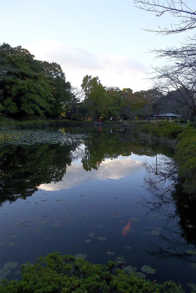 2015/11/03_岩槻城址公園