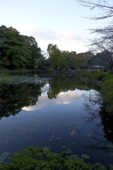 2015/11/03_岩槻城址公園