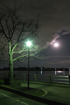 2014/12/07_月夜の伊佐沼