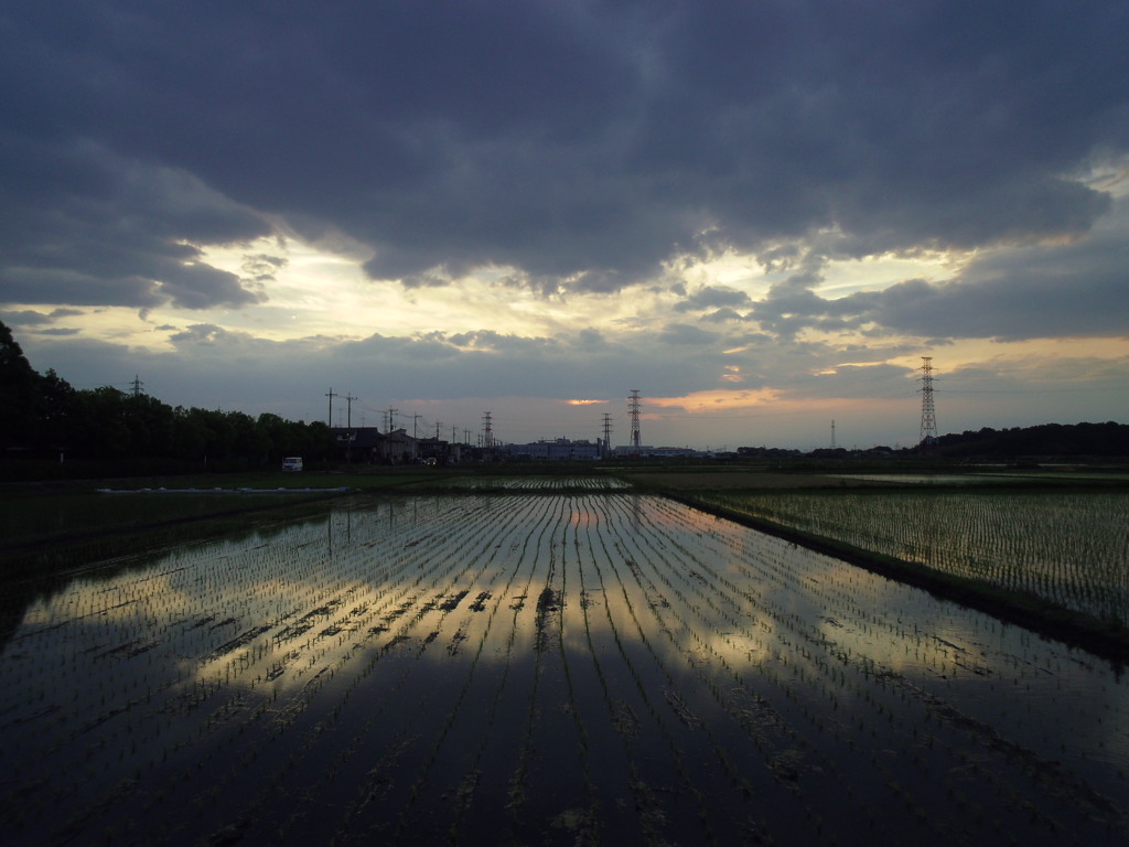2017/06/10_水田の夕暮れ