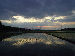 2017/06/10_水田の夕暮れ