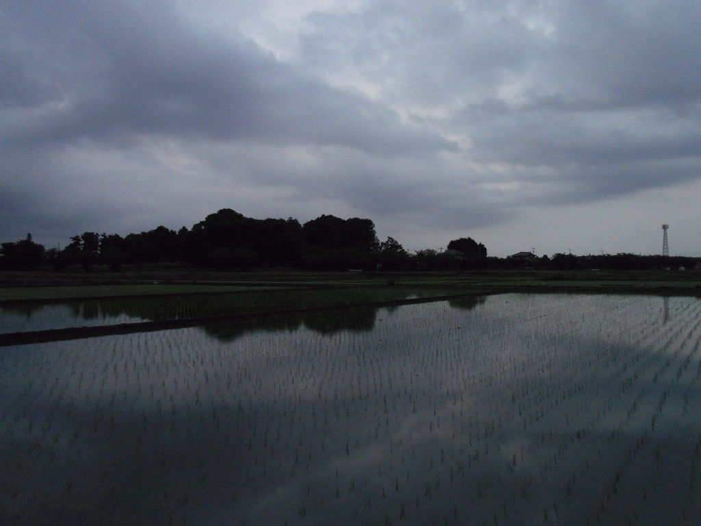 2017/05/27_水田の曇天