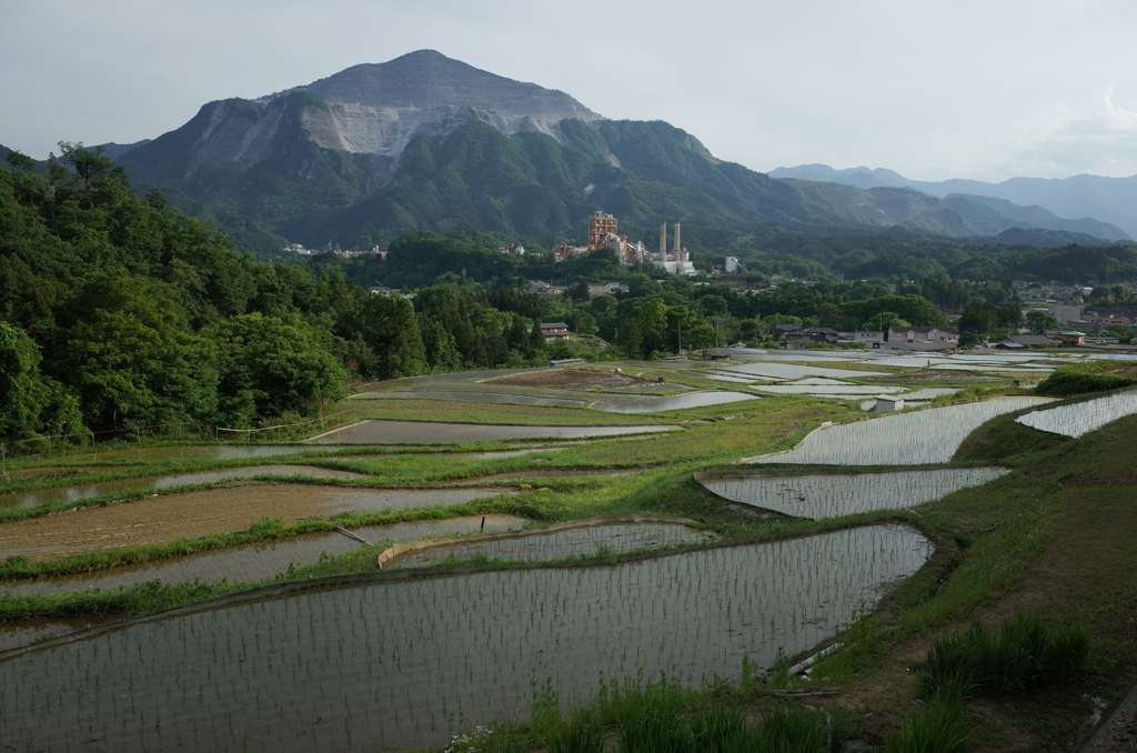 2015/05/23_寺坂棚田と武甲山